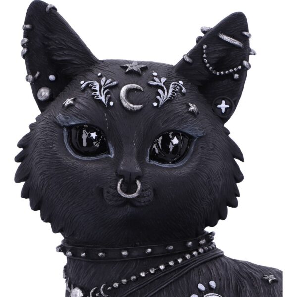 Nine Lives - Image 6